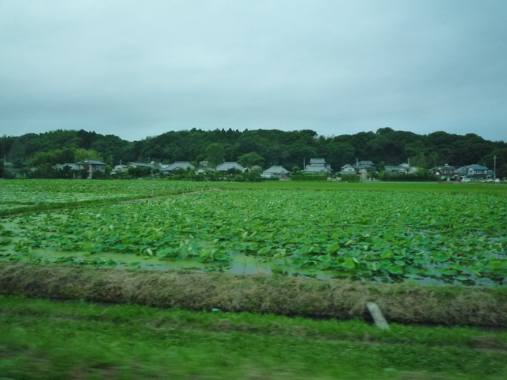 P1250462-fx37
