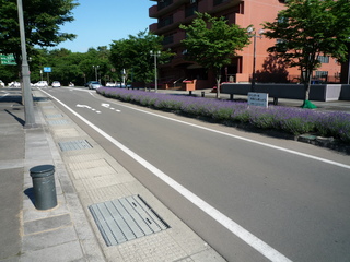 P1250853-fx37.JPG