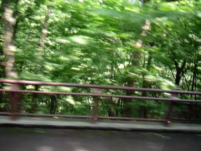 P1260229-fx37#000000