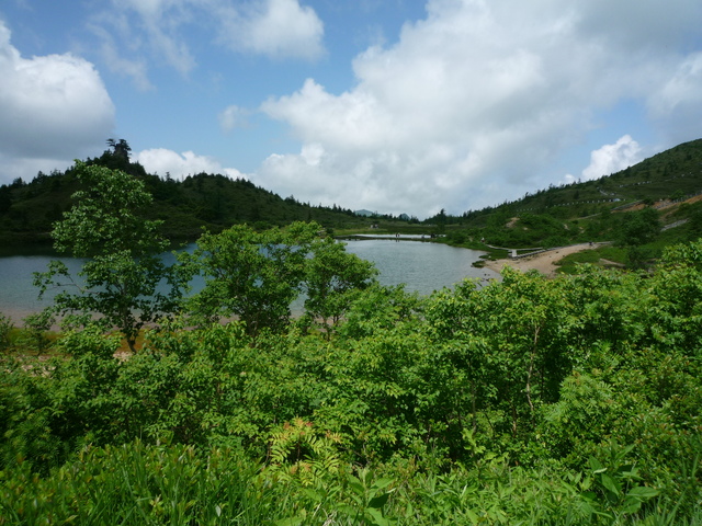 P1260521-fx37