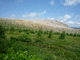 P1260552-fx37.JPG
