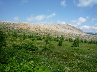 P1260552-fx37.JPG