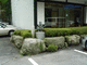 P1260702-fx37.JPG