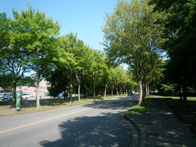P1270418-fx37