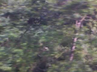 20100727055522--IMG_0000-ipodnano-S#001700