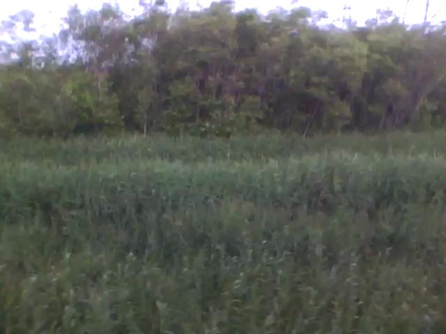 20100727055522--IMG_0000-ipodnano-S#000700