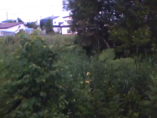 20100727055522--IMG_0000-ipodnano-S#001115