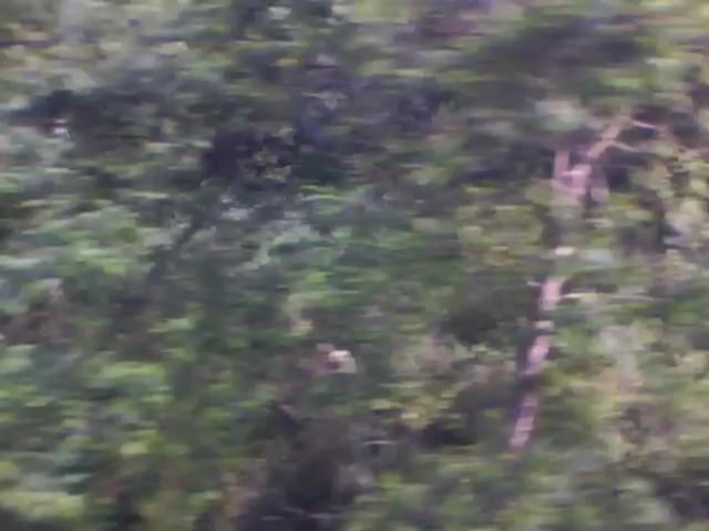 20100727055522--IMG_0000-ipodnano-S#001700