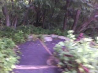 20100727062922--IMG_0003-ipodnano-S#000545