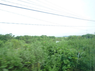 20100727065659--P1270664-fx37.JPG