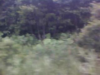 IMG_0002-ipodnano-B.mp4#004030