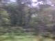 IMG_0002-ipodnano-B.mp4#001230