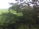 IMG_0002-ipodnano-B.mp4#003545
