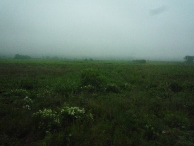 P1280126-fx37