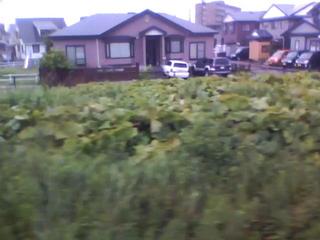 20100730055336--IMG_0004-ipodnano-B#000330