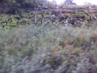 20100730055336--IMG_0004-ipodnano-B#000730