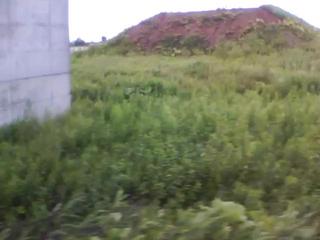 20100730055336--IMG_0004-ipodnano-B#000845