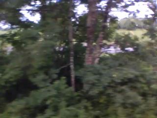 20100730055336--IMG_0004-ipodnano-B#001545
