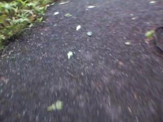 20100730061558--IMG_0006-ipodnano-B#000245