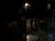 20100730192144--IMG_0011-ipodnano-B.mp4#012345