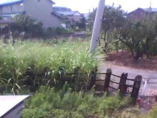 IMG_0012-ipodnano-B.mp4#000915