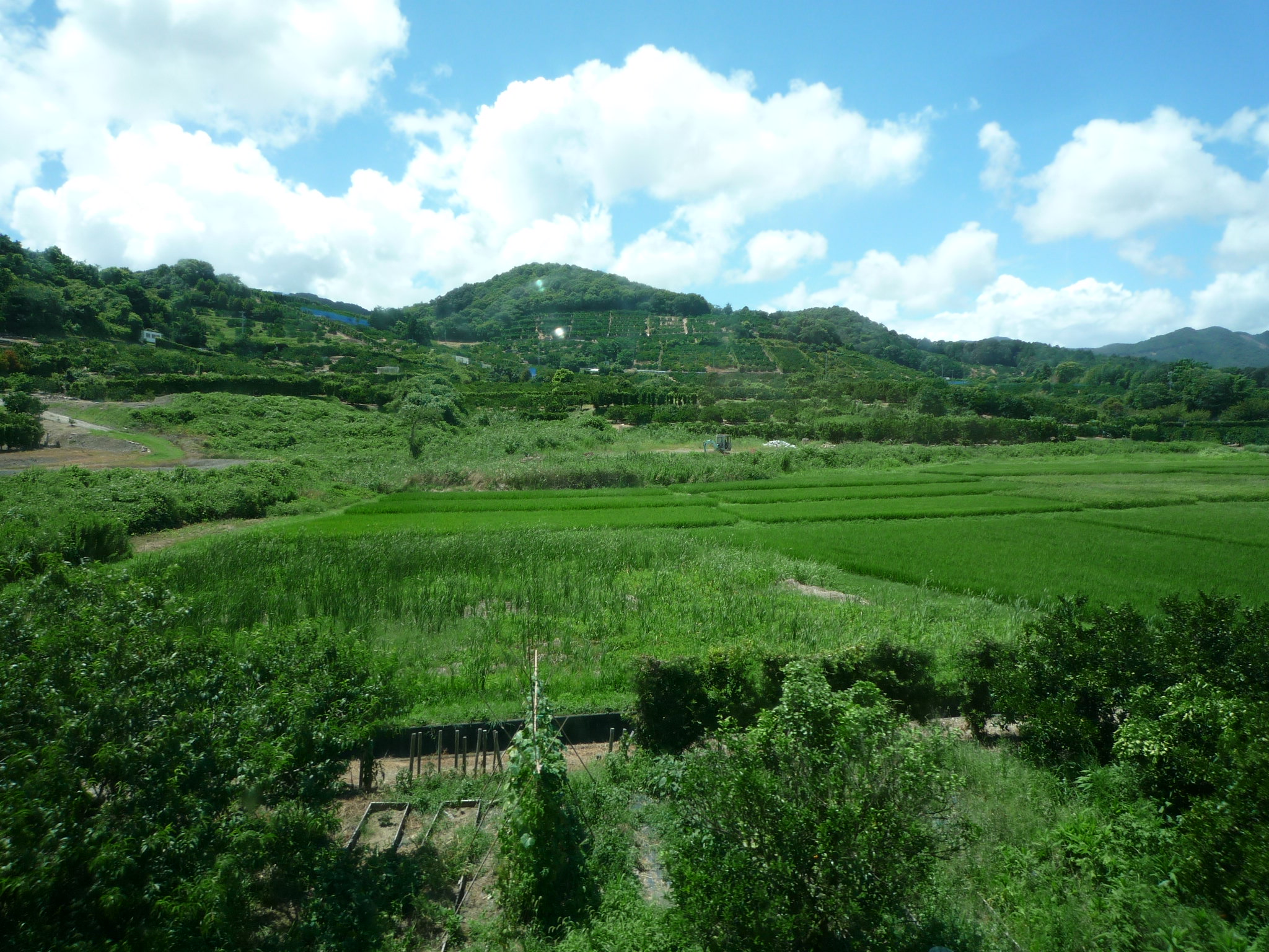 20100804124010--P1290258-fx37