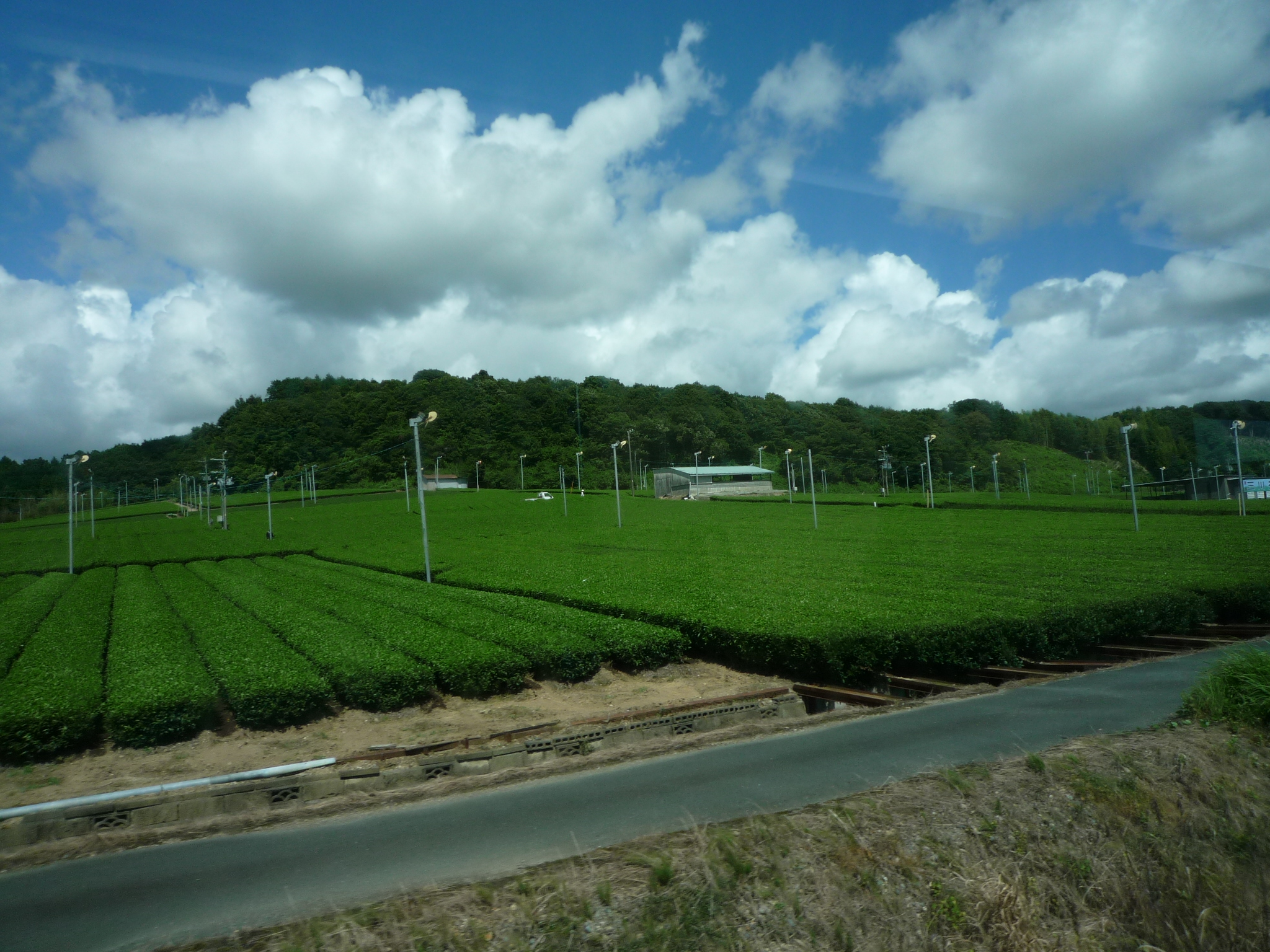 20100804134954--P1290311-fx37