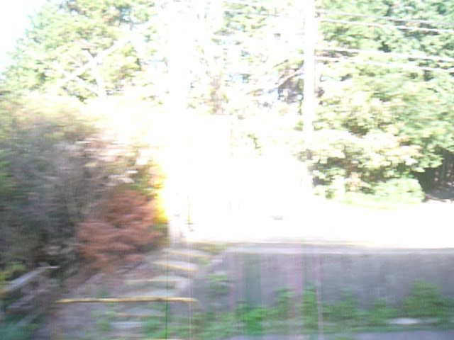 20100804170419--P1290375-fx37