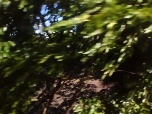 20100804082741--IMG_0003-ipodnano-B#000115