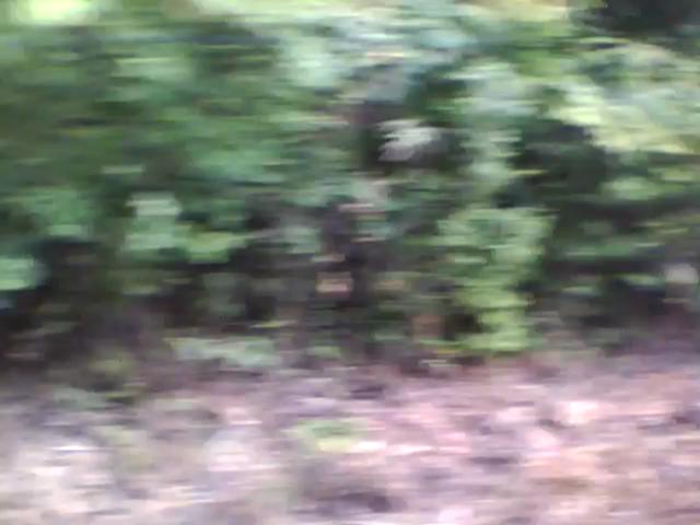 20100804082741--IMG_0003-ipodnano-B#000500