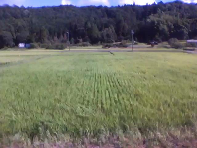 20100804082741--IMG_0003-ipodnano-B#000730