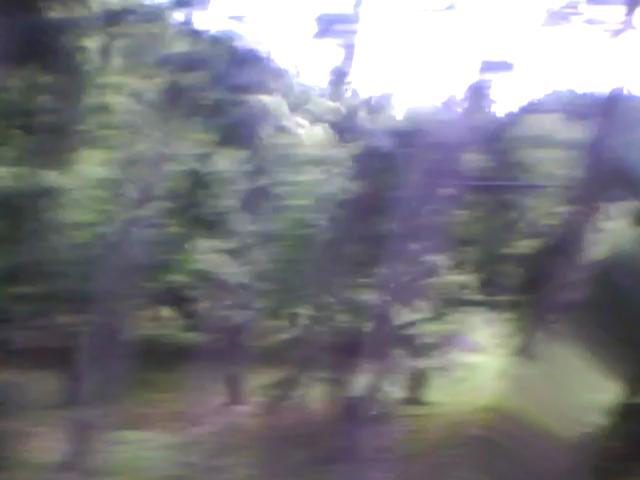 20100804082741--IMG_0003-ipodnano-B#002100