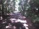 20100804122249--IMG_0002-ipodnano-S.mp4#005915