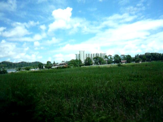 20100804124910--P1290271-fx37#000000