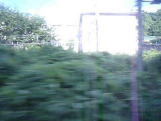 20100804165534--P1290370-fx37.JPG