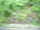20100804170506--P1290376-fx37.MOV#000000