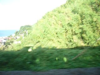 20100804170749--P1290379-fx37.JPG