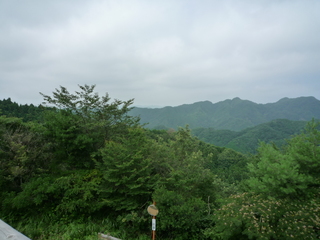 20100807092742--P1290540-fx37.JPG