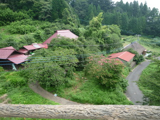 20100807093051--P1290545-fx37.JPG