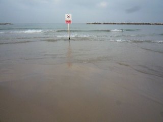 20100817071500--P1300071-fx37.JPG