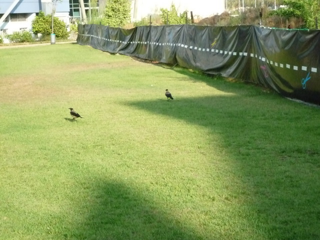 20100817172817--P1300139-fx37