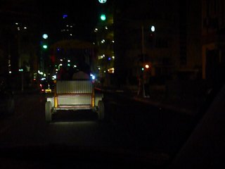 20100817222923--P1300196-fx37.JPG