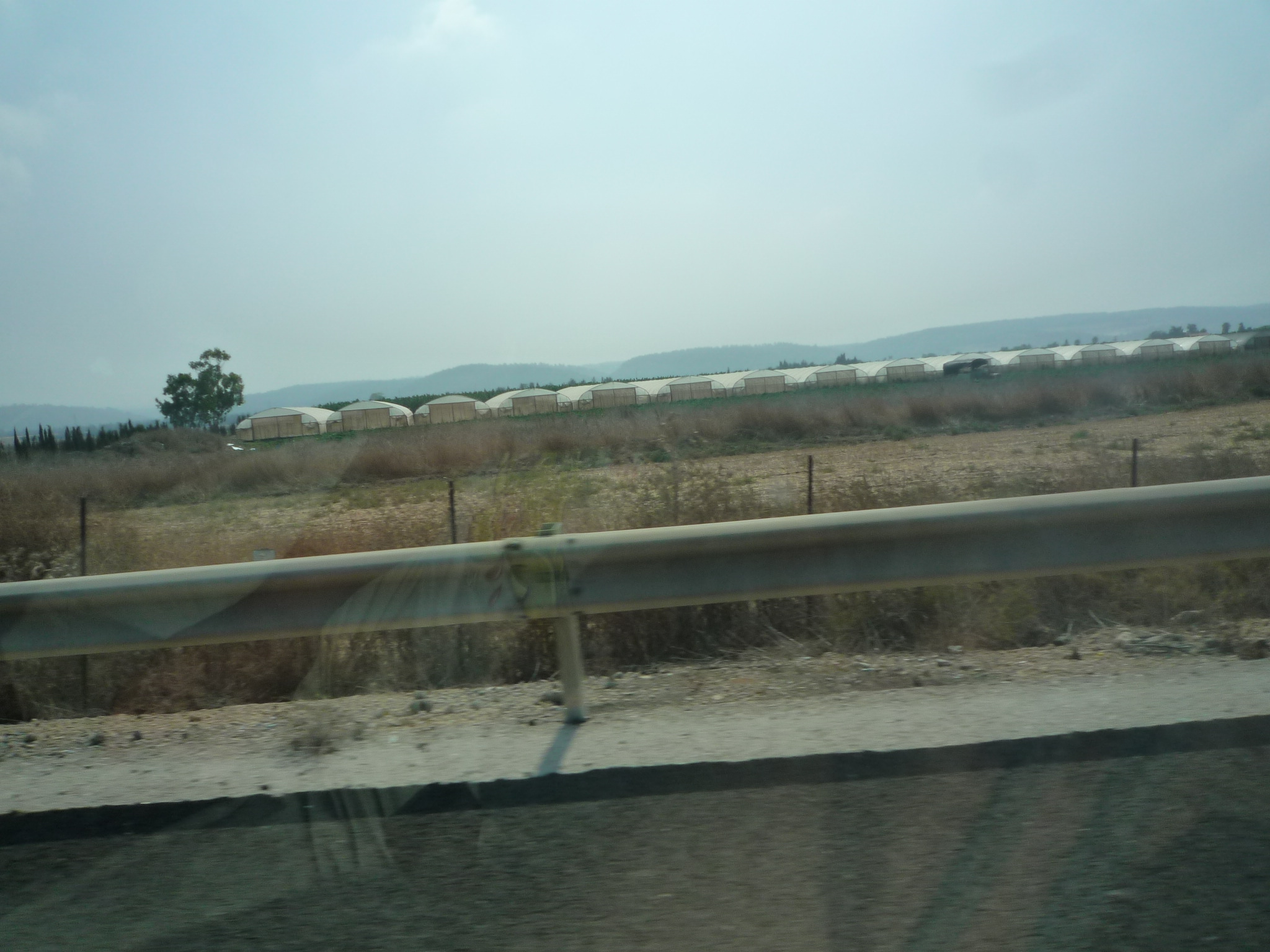20100818101456--P1300249-fx37