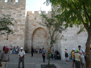 20100820093439--P1300821-fx37.JPG