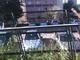 20100821091141--IMG_0001-ipodnanoB.mp4#000330