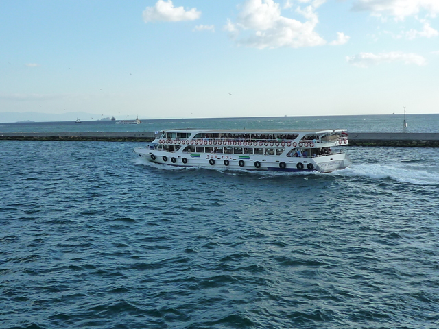 20100821181324--P1310395-fx37