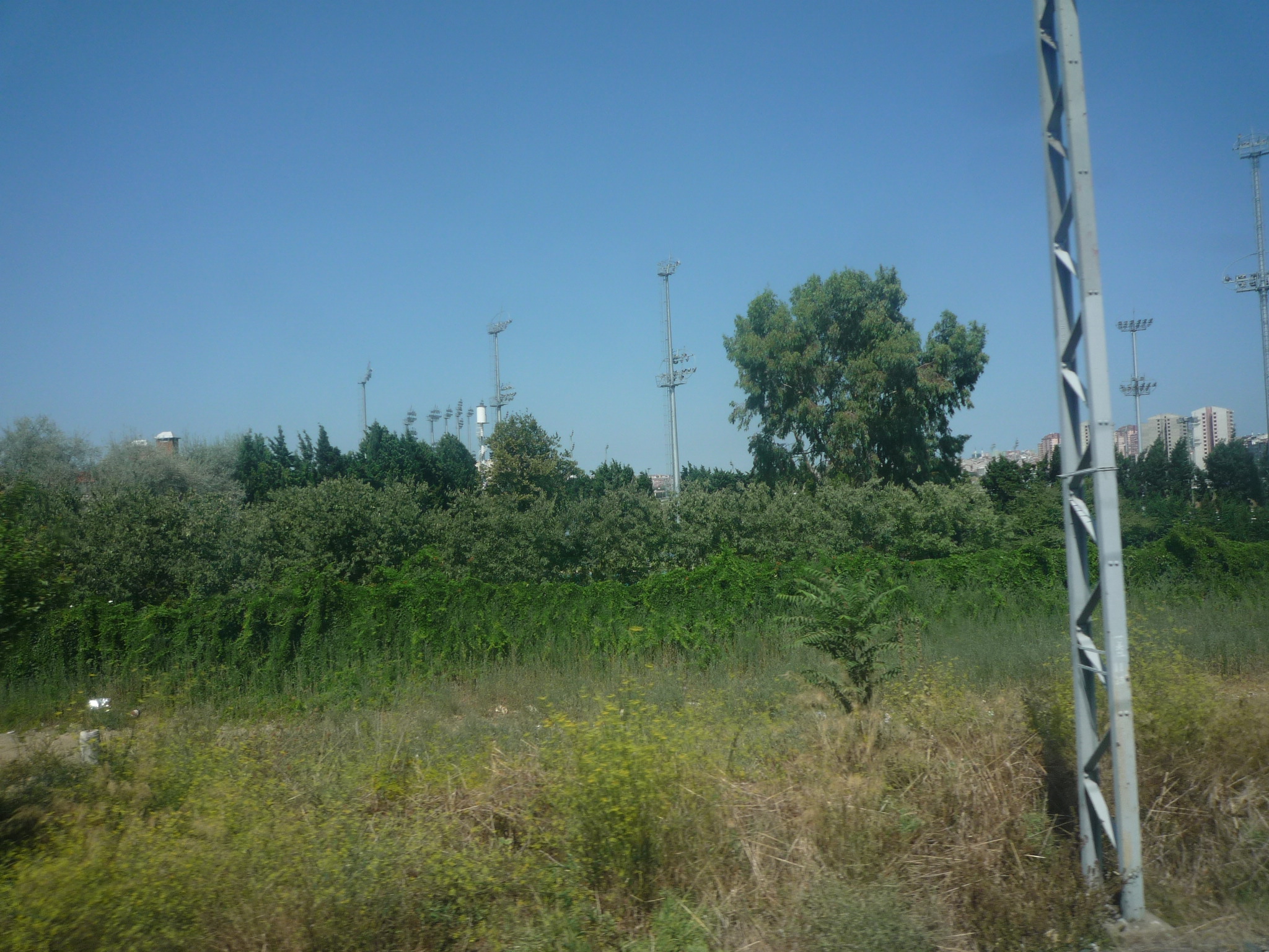20100827135515--P1320794-fx37