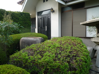 P1320992-fx37.JPG