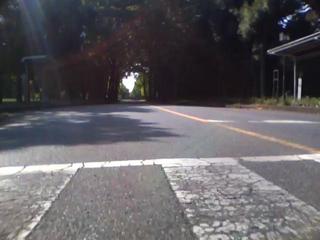 IMG_0004-ipodnanoS.mp4#000545
