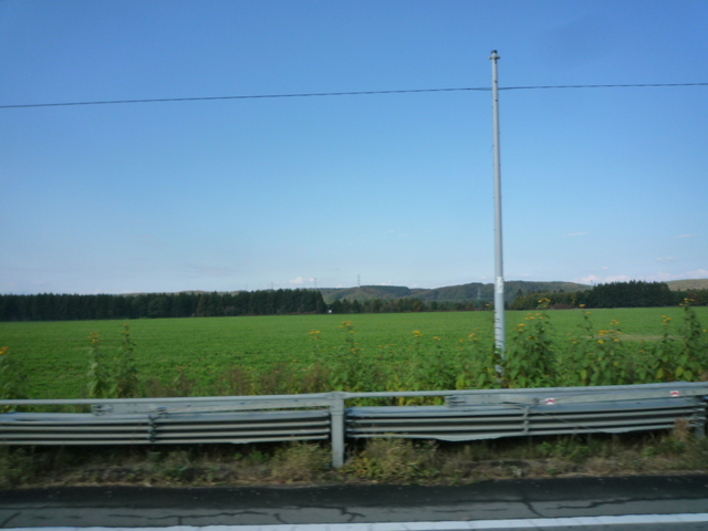 P1350080-fx37